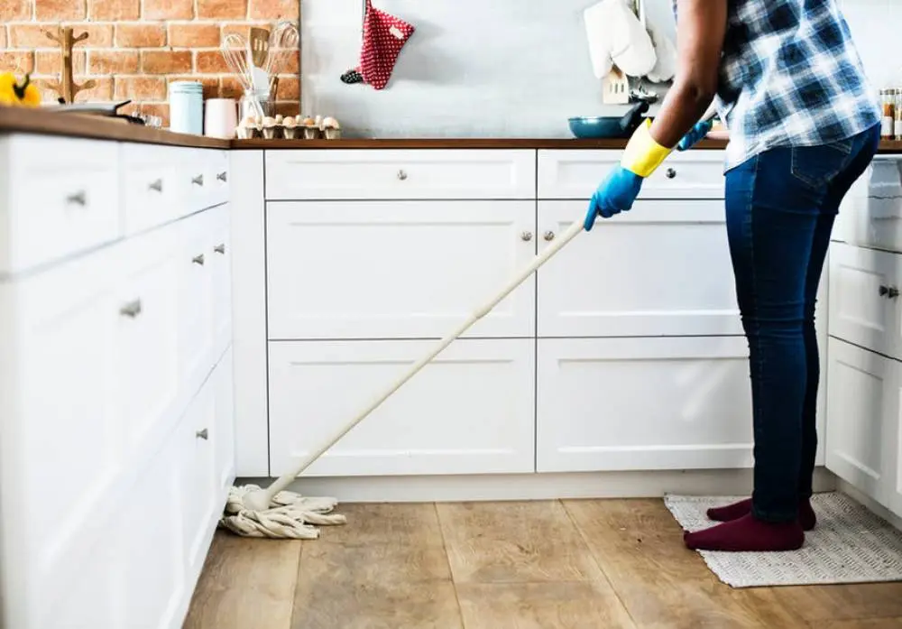How to Mop Gator UAE