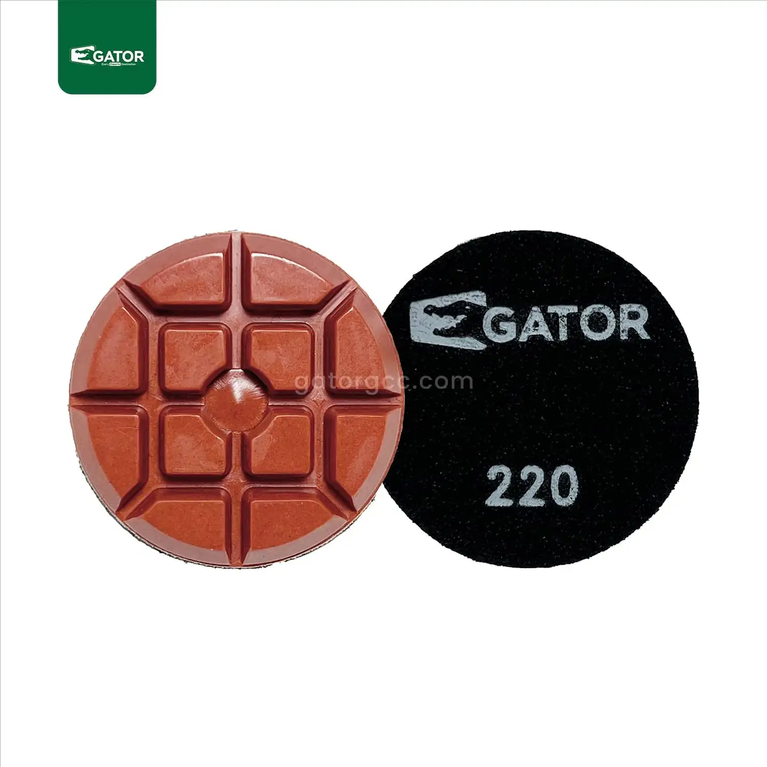 Diamond Resin Polishing AB08-220